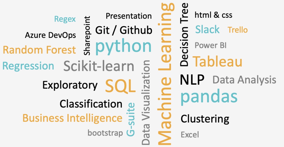 wordcloud skills